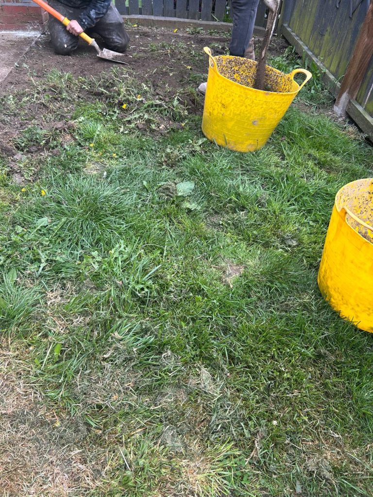 Grass Removed